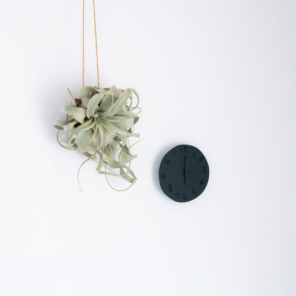 ' Spot ' wall clock Yuki MIKAMI × 岩㟢紙器